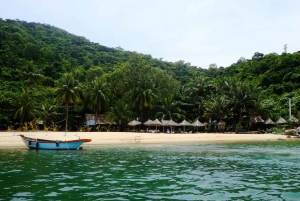 Cham-øen: Snorkling og 'underwater walking'