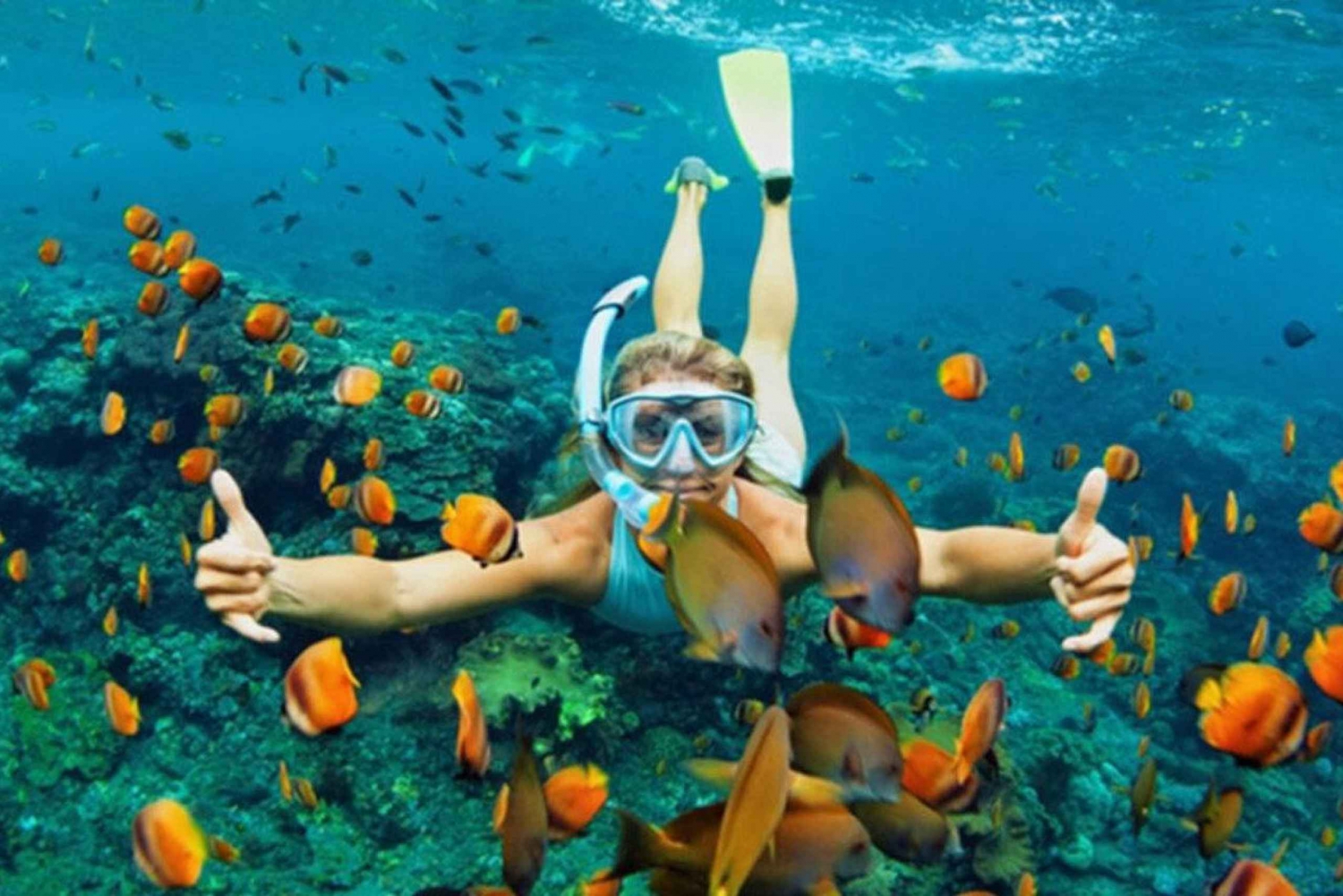 Hoi An: Viagem de mergulho com snorkel nas Ilhas Cham em lancha rápida com almoço