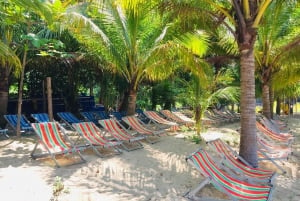 Hoi An: Snorkletur med hurtigbåt til Cham-øyene med lunsj