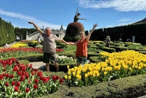 Chan May havn: Hoi An by eller Den Gyldne Bro i privat bil