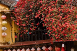 Chan May Port: Private Day Trip to Hoi An or Golden Bridge