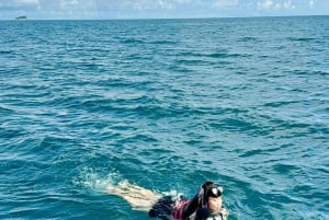 Con Dao : excursion de 2 jours pour observer les tortues et faire de la plongée avec tuba