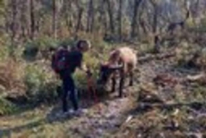 Conquer Fansipan: 2D1N Trek, Sleep at Base Camp & Explore