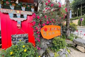 Sapa: ¡clase de cocina vietnamita de rollitos de primavera!