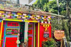 Sapa: ¡clase de cocina vietnamita de rollitos de primavera!