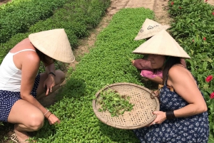 Hoi An/Da Nang: Vegetarian Cooking Class & Basket Boat Ride