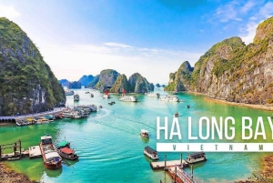 Cozy Halong - Excellent Halong Bay Day Cruise All Inclusive