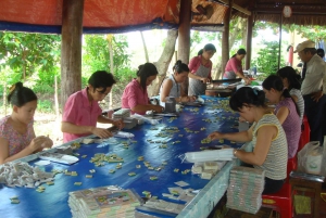 Cu Chi Tunnels and Mekong Delta: Full Day Small Group Tour