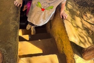 Cu Chi Tunnels Half Day Tour:Vietnam War Underground Network