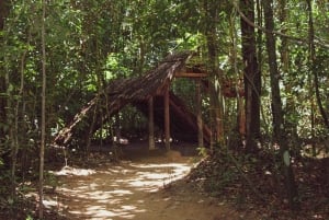 Cu Chi Tunnels Half Day Tour:Vietnam War Underground Network
