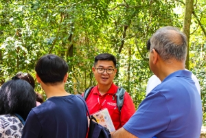 Cu Chi Tunnels Half Day Tour:Vietnam War Underground Network