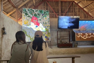 Dîner avec feu d'artifice, symphonie et spectacle Kiss of the Sea