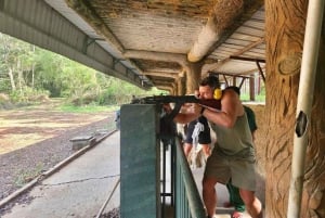 Dîner avec feu d'artifice, symphonie et spectacle Kiss of the Sea