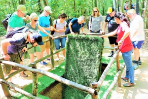 Cu Chi Tunnels Private Tour from Ho Chi Minh City