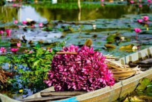 Cu Chi Tunnels Shooting Gun & Mekong Delta Full Day Tour