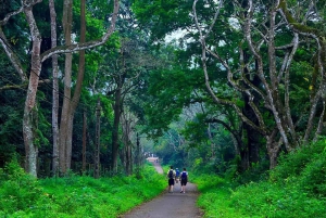 Cuc Phuong National Park 1 day trip