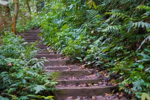 Cuc Phuong nationalpark - dagsutflykt till Van Long från Hanoi