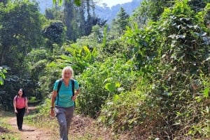 Cuc Phuong nasjonalpark - dagstur fra Hanoi til Van Long