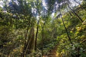 Cuc Phuong nasjonalpark - dagstur fra Hanoi til Van Long
