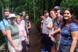 Cuc Phuong nasjonalpark - dagstur fra Hanoi til Van Long