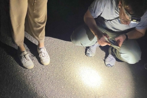 Cuc Phuong: Wildlife Night-Spotting – Private Tour