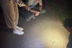 Cuc Phuong: Wildlife Night-Spotting – Private Tour