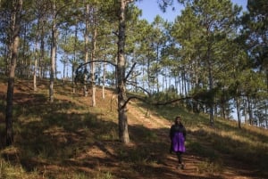 ダラット：サンライズハイキング、朝食付き・送迎付き