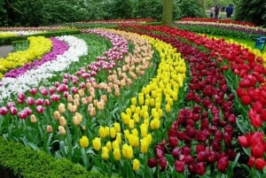 Da Lat: City Highlights Tour with Cable Car & Waterfall