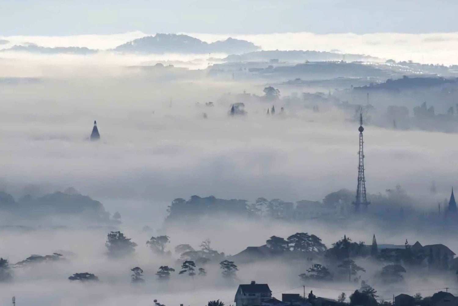 Da Lat: Wolkenjagd und Natur-Tour am Vormittag