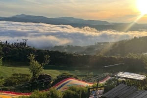 Da Lat: Cloud Hunting and Nature Morning Tour