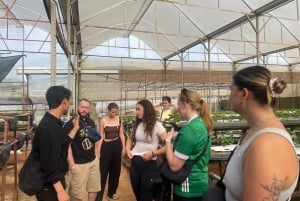 Da Lat: Cloud Hunting and Nature Morning Tour