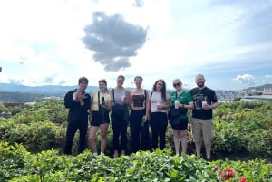 Da Lat: Cloud Hunting and Nature Morning Tour