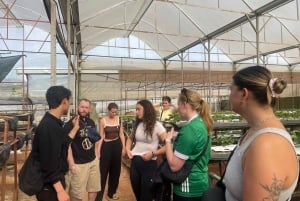 Da Lat: Wolkenjagd und Natur-Tour am Vormittag