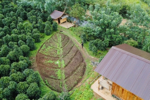 Đà Lạt : Atelier de torréfaction et dégustation de café à la Twin Bean Farm