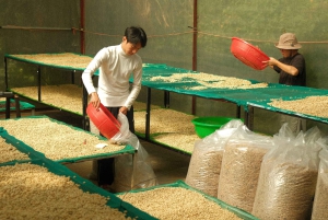 Đà Lạt : Atelier de torréfaction et dégustation de café à la Twin Bean Farm