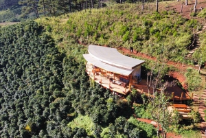 Đà Lạt : Atelier de torréfaction et dégustation de café à la Twin Bean Farm