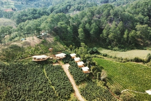 Đà Lạt : Atelier de torréfaction et dégustation de café à la Twin Bean Farm