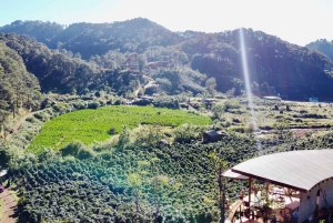 Đà Lạt : Atelier de torréfaction et dégustation de café à la Twin Bean Farm