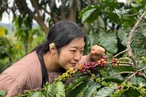 Da Lat: tour por el campo con paseo en Mario Kart y Mongo Land