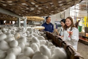 Da Lat: tour por el campo con paseo en Mario Kart y Mongo Land