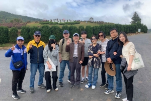 Da Lat: Da Lat Area Highlights Day Tour