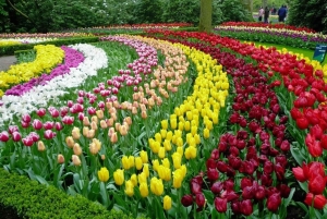 Đà Lạt: Easy Rider-avontuurlijke tour op het platteland