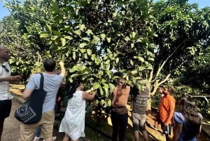 Da Lat: Halvdag på eftermiddagen – Mongo Land och Mario Kart