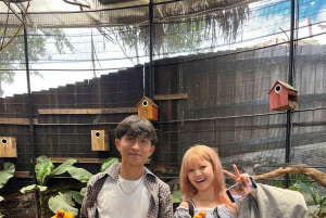 Da Lat: Halvdag på eftermiddagen – Mongo Land och Mario Kart