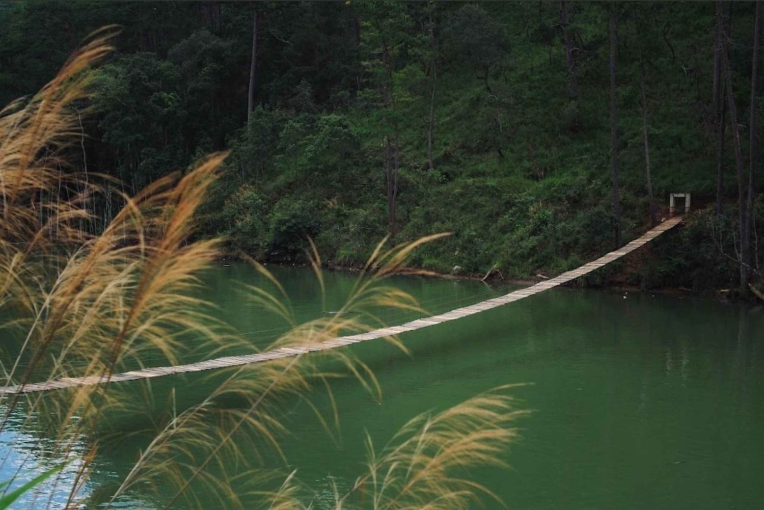 Da Lat Local Spirit: Morning of Peace, Culture & Tea