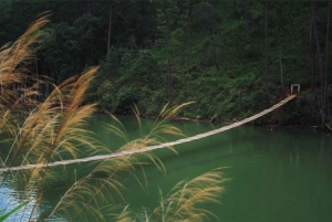 Da Lat Local Spirit: Morning of Peace, Culture & Tea