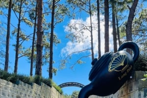 Da Lat Local Spirit: Morning of Peace, Culture & Tea