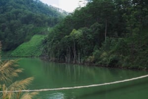 Da Lat Local Spirit: Morning of Peace, Culture & Tea