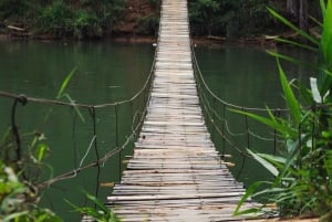 Da Lat Local Spirit: Morning of Peace, Culture & Tea