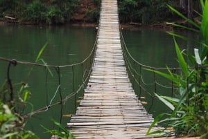 Da Lat Local Spirit: Morning of Peace, Culture & Tea